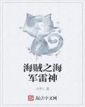 海賊之海軍雷神