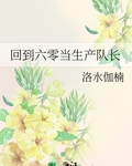 回到六零當生產隊長