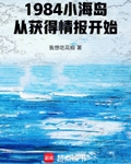 1984小海島，從獲得情報開始