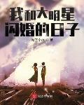 我和大明星閃婚的日子