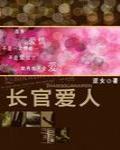 長官愛人